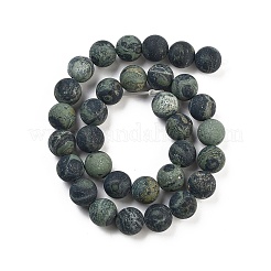 Natural Kambaba Jasper Beads Strands&nbsp;G-F520-53-12mm