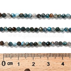 天然石アパタイトビーズ連売り  多面カットラウンド  3~3.5mm  穴：0.5mm  約133個/連  15.35''（39センチメートル）&nbsp;G-RM2025-36-3mm