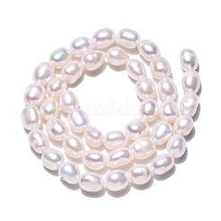 Natural Cultured Freshwater Pearl Beads Strands&nbsp;PEAR-N014-07L