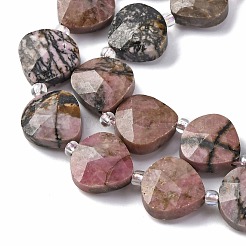 Natural Rhodonite Beads Strands&nbsp;G-P570-E03-02