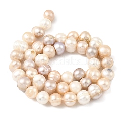 Natural Cultured Freshwater Pearl Beads Strands&nbsp;PEAR-B004-13A-01A