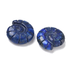 Natural Lapis Lazuli Conch Display Decorations&nbsp;DJEW-D303-01B