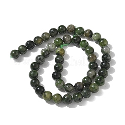 Natural Green Diopside Beads Strands&nbsp;G-K382-B01-02
