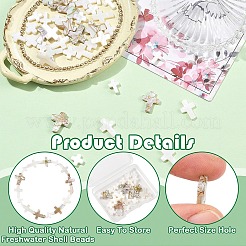 40Pcs 4 Styles Natural Freshwater Shell Beads&nbsp;BSHE-YW0001-26