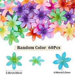 60Pcs Opaque Acrylic Beads&nbsp;OACR-SC0002-81