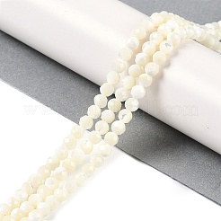 天然石シェルビーズ連売り  多面カット  ラウンド  3.8~4.5mm  穴：0.8mm  約94個/連  15.87''（40.3センチメートル）&nbsp;SSHEL-E571-38B-4mm