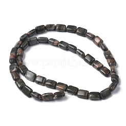 天然な赤ゼブラジャスパービーズ連売り  直方体の  8x5.6~6x2.5~4mm  穴：1mm  約44~52個/連  14.96~15.74インチ（38~40cm）&nbsp;G-Z006-B06