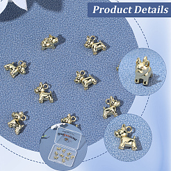 10Pcs Brass Charms&nbsp;KK-BBC0024-48