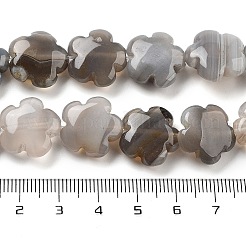 天然なグレーの瑪瑙ビーズ連売り  花  16x16x6mm  穴：1.4mm  約25個/連  14.57~14.96インチ（37~38cm）&nbsp;G-F769-I01-01