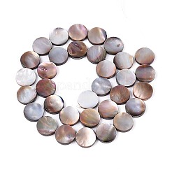 Natural Sea Shell Beads Strands&nbsp;SSHEL-D084-13A