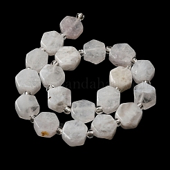 Natural Rainbow Moonstone Beads Strands&nbsp;G-P534-A06-01