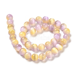 Natural Selenite Beads Strands&nbsp;G-P493-03E