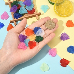 360Pcs 11 Colors Autumn Theme Transparent Frosted Acrylic Pendants&nbsp;MACR-YW0004-03