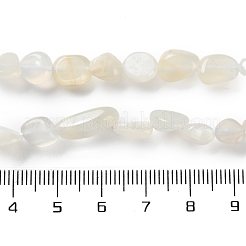 Natural White Moonstone Beads Strands&nbsp;G-P497-01C-65