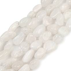 Natural Rainbow Moonstone Beads Strands&nbsp;G-G018-48-01