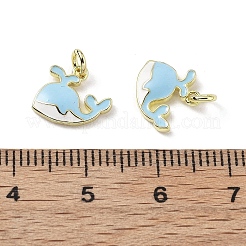 Brass Enamel Charms&nbsp;KK-Z114-17G-01