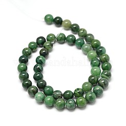 天然西アフリカンジェイドラウンドビーズ連売り  8mm  穴：1mm  約48個/連  14.9インチ&nbsp;G-P075-03-8mm