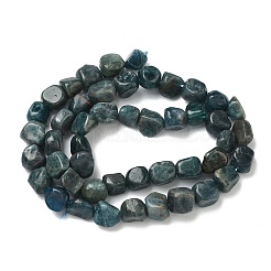 天然石アパタイトビーズ連売り  ナゲット  7~9x7.5~8.5x5~7mm  穴：1mm  約48~50個/連  15.55''（39.5センチメートル）&nbsp;G-R445-8x10-24A