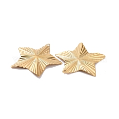304 Stainless Steel Pendants&nbsp;STAS-A061-06G