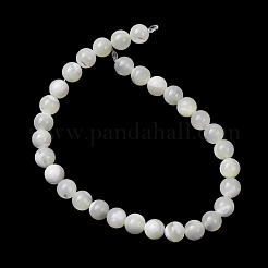 Natural Trochid Shell/Trochus Shell Beads Strands&nbsp;SH-CBA2978-16B