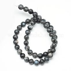天然ラルビカイトビーズ連売り  ラウンド  6mm  穴：1mm  約59個/連  15インチ&nbsp;G-R345-6mm-33