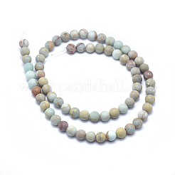 Natural Aqua Terra Jasper Beads Strands&nbsp;G-N0128-48F-6mm