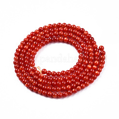 Natural Freshwater Shell Beads Strands&nbsp;SHEL-N026-205A-01