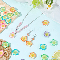 30個のレジンペンダント  花  プラチナ鉄ループ付き  ミックスカラー  26~26.5x24~26x7~8mm  穴：2mm&nbsp;RESI-BM0001-06A
