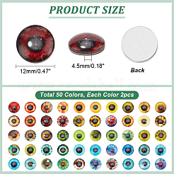 1 Bag Flatback Glass Cabochons&nbsp;GGLA-PH0001-57