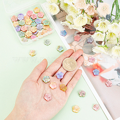 50個5色天然淡水シェルビーズ連売り  ABカラーメッキ  染め  花  ミックスカラー  12.5x13x2.5mm  穴：0.7mm  10個/カラー&nbsp;SHEL-PH0001-30