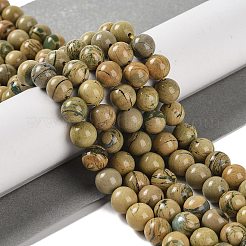 Natural Verdite Stone Beads Strands&nbsp;G-P530-B07-03