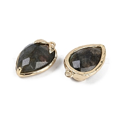 Natural Labradorite Faceted Pendants&nbsp;G-M431-06G-12