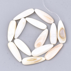 Freshwater Shell Beads Strands&nbsp;SHEL-S274-73