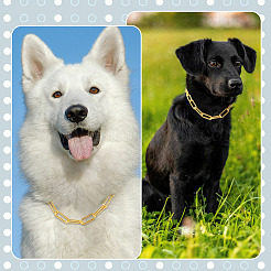 3Pcs Iron Chain Pet Collars&nbsp;NJEW-TADJ0002