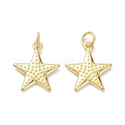 Brass Pendants&nbsp;KK-L206-016G
