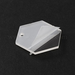 Transparent Acrylic Pendants&nbsp;TACR-WH0001-70