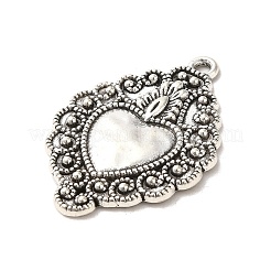 Tibetan Style Alloy Pendants&nbsp;PALLOY-M217-01I-AS
