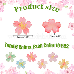 60 個 6 色の蓄光樹脂カボション  5枚の花/桜  ミックスカラー  26x5mm  10個/カラー&nbsp;RESI-GA0001-30-1