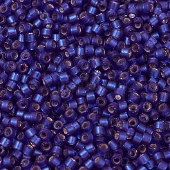 MIYUKI Delica Beads&nbsp;X-SEED-J020-DB0696