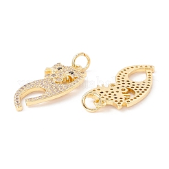 Brass Micro Pave Cubic Zirconia Pendants&nbsp;ZIRC-P098-06G