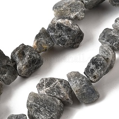 Natural Labradorite Beads Strands&nbsp;G-S386-B04