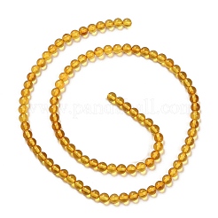Natural Amber Beads Strands&nbsp;G-L584-02