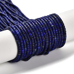 Natural Lapis Lazuli Beads Strands&nbsp;G-Z074-C01