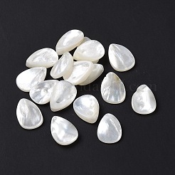 Natural White Shell Beads&nbsp;SSHEL-C011-06