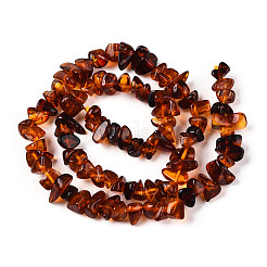 天然琥珀ビーズ連売り  チップ  砂茶色  3.5~6.5x5~11x5~7.5mm  穴：0.6mm  約86~88個/連  14.72~15.2''（37.4~38センチメートル）&nbsp;G-T138-235D