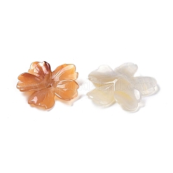 天然瑪瑙の蝶ペンダント  花  36~59x41.5~58.5x3.5~6.5mm  穴：2mm&nbsp;G-Q164-20
