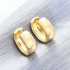 Brass Hoop Earrings&nbsp;EJEW-Q015-21A-G