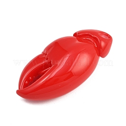 Acrylic Big Pendants&nbsp;LS-OACR-D313-01A