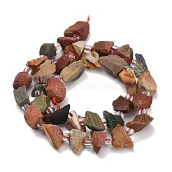 Natural Ocean Jasper Beads Strands&nbsp;GG-CBA0B77-A23-02