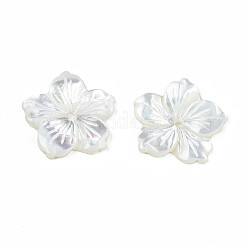 ナチュラルホワイトシェルビーズ  花  14.5x14.5x1.5~2.5mm  穴：1mm&nbsp;SSHEL-N027-131B-01
